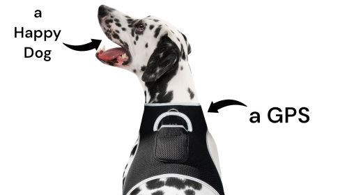 Get Realtime SMS/Live Tracking Data w/ Pet Tracker GPS Dog Collar Tracker Size:XXL