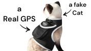 Get Realtime SMS/Live Tracking Data w/ Pet Tracker GPS Dog Collar Tracker Size:S