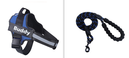 Fashion Simple Pet Leash Chest Strap Set (Option: Blue-L)