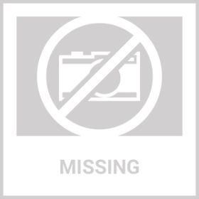 American Local Tactical Pet Service Dog Harness Vest Adjustable Reflective Dog Harness Metal Buckle Hiking Training (Option: Tan-XL)