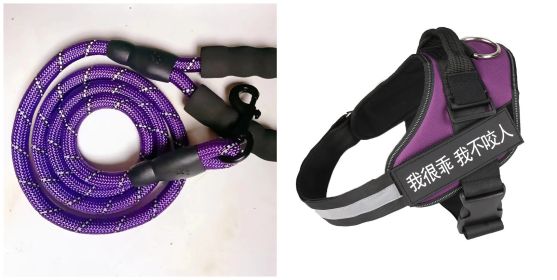 Fashion Simple Pet Leash Chest Strap Set (Option: Purple-XL)